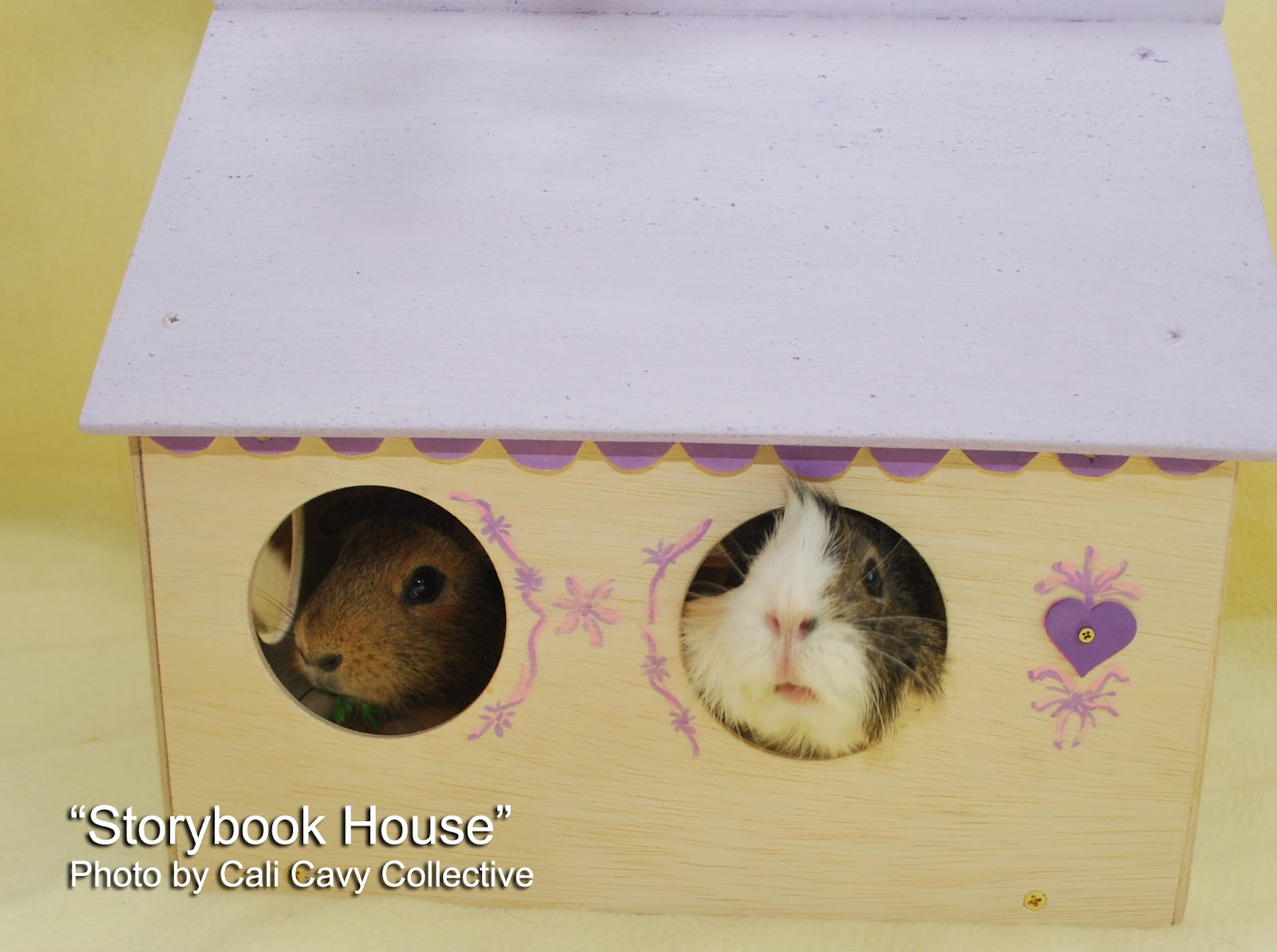 Cali Cavy Collective a blog about all things guinea pig Wooden