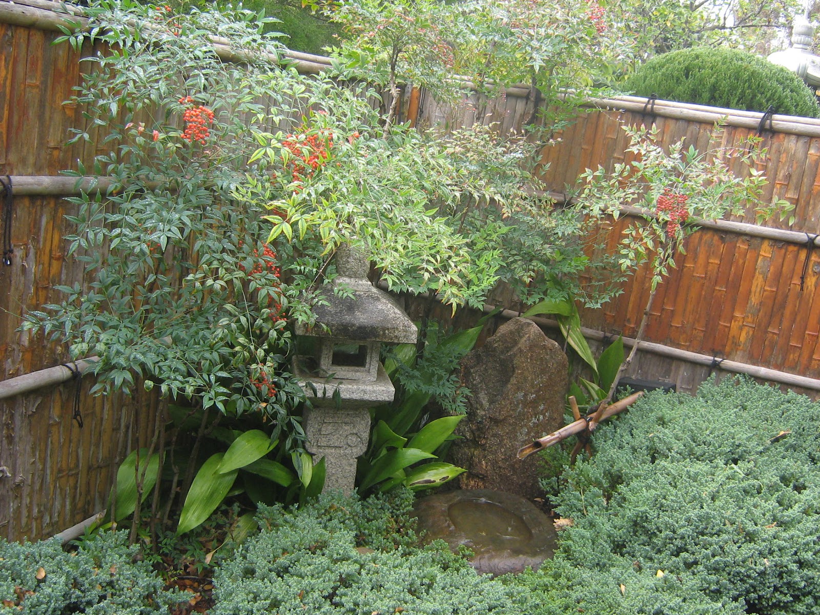 Homeschoolingdownunder: At the Japanese garden