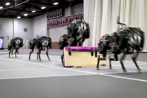 Ρομπότ-τσιτάχ του MIT είναι το πρώτο στον κόσμο που αναγνωρίζει και πηδά εμπόδια ενώ τρέχει [Video]