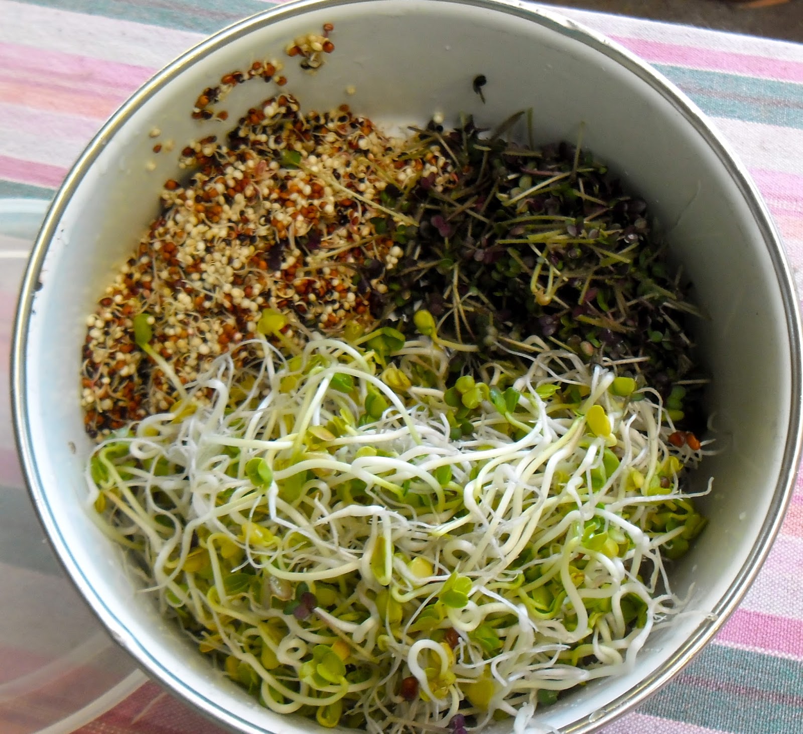 Sprout Out and Live! Radical Radish (sprouts)