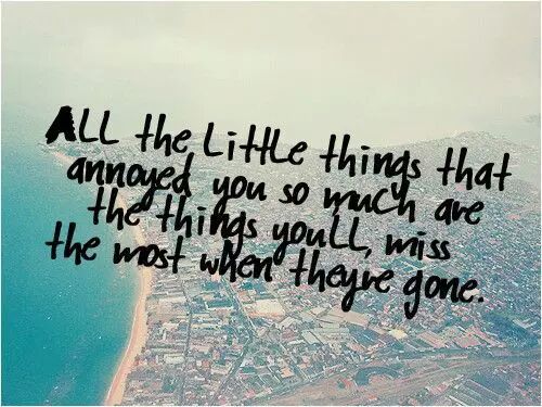 On The Way To My Year Far Away From Home Spruche