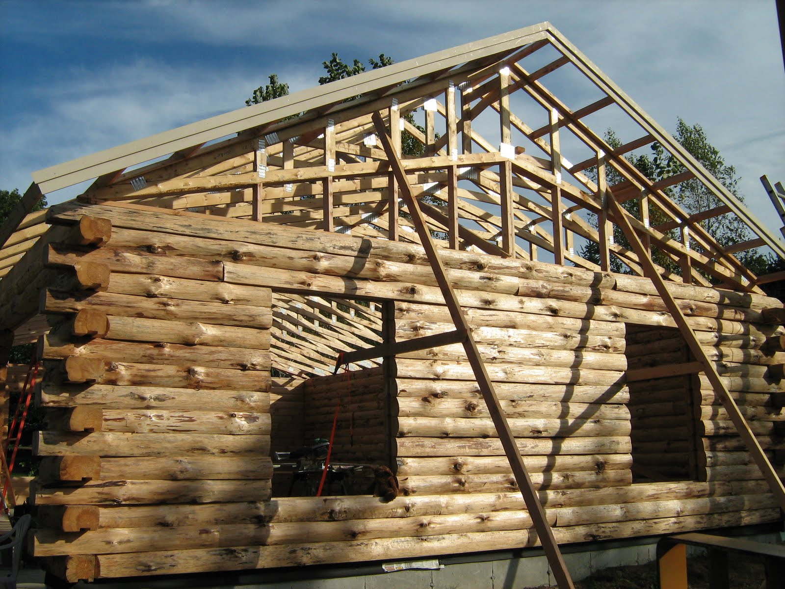 Bruce R. Johnson Log Cabin Roof