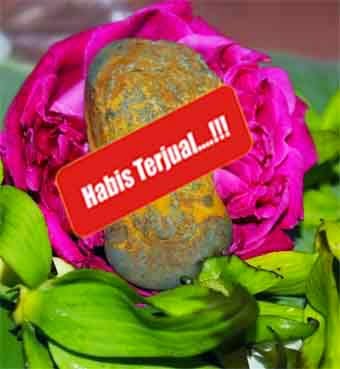 MUSTIKA SANTET KELAMIN TERPINANG - PADEPOKANCIPTAHENINGTIRTO