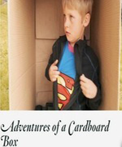 The Adventures of a Cardboard Box (2011)