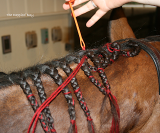 braids scalloped tutorial button mane hook