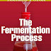 The Fermentation Process - Free Kindle Non-Fiction