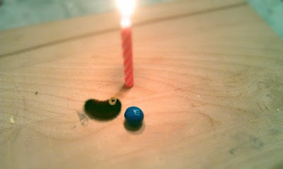 Caterpillar! ZOMG it's wearing a birthday crown you guys!