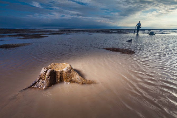 Fuente: http://ngm.nationalgeographic.com/2012/12/doggerland/clark-photography#/08-prehistoric-oak-near-goldcliff-wales-670.jpg