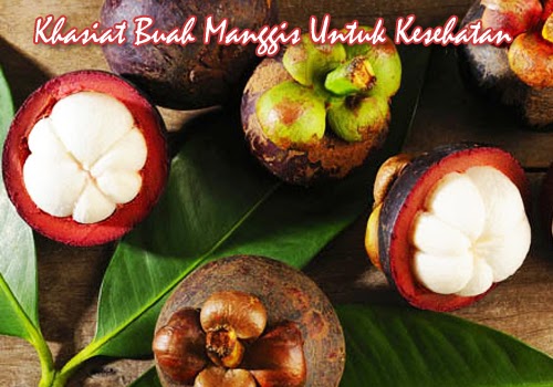 Manfaat Dan Khasiat Buah Manggis Untuk Kesehatan Buah Manggis