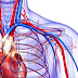 Circulatory system problems Circulatory system problems