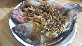 Tim Ikan Kerapu Tim Ikan Kerapu