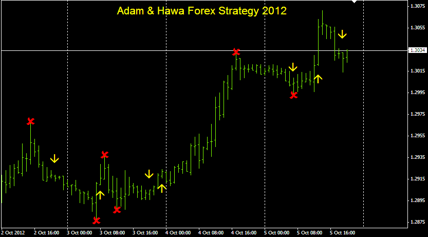 Faizumi fx trading system