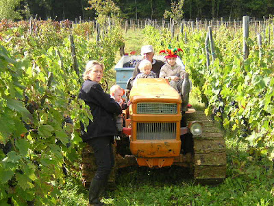 Vendemmia 2005 tutta la Famiglia partecipa.