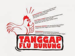 Penelitian dan Perkembangan Flu Burung Pada Kucing Penelitian dan Perkembangan Flu Burung Pada Kucing