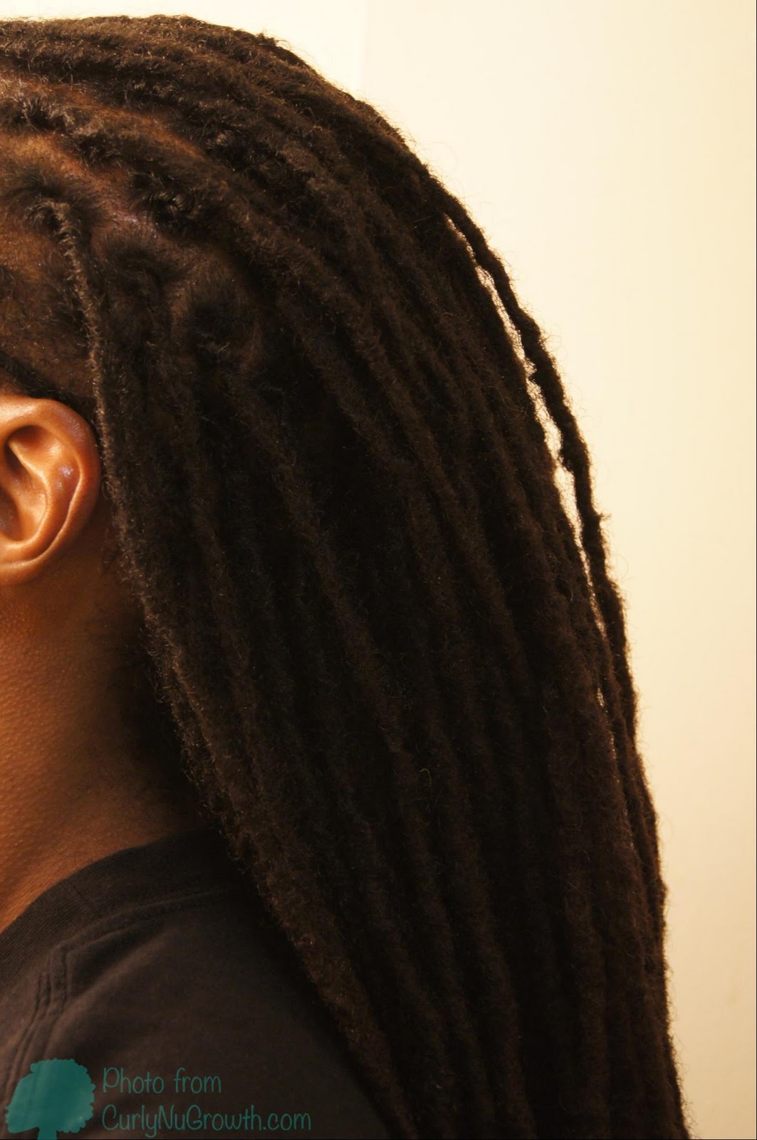 CurlyNuGrowth it begins hair. Interlocking LocsMyths' Traditional Locs
