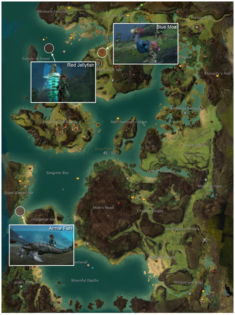 Guild Wars 2 Junkie Pet Locations