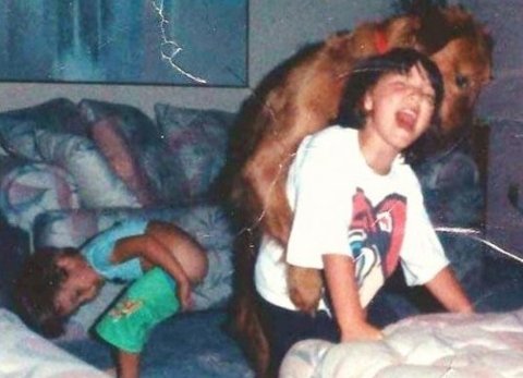 dog%2Bhump.jpg