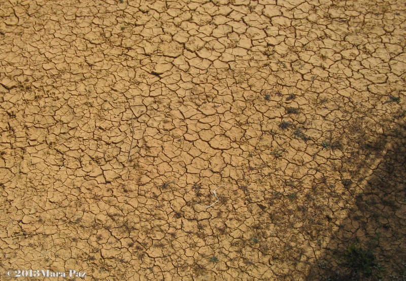 Parched earth