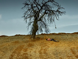 Ahlat Agaci,the Wild Pear Tree