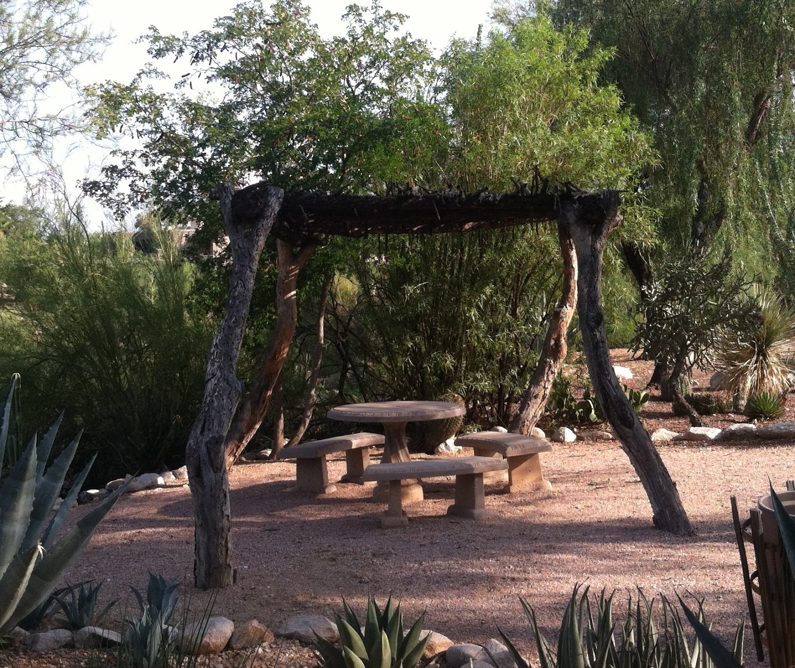 Tucson Daily Photo Rustic Gazebo