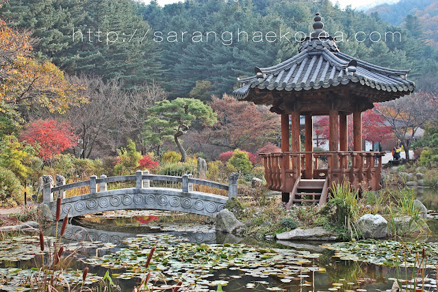 one of the interesting displays at the garden of the morning calm one of the interesting displays at the garden of the morning calm