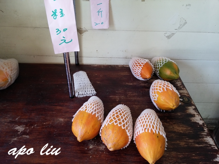 草屯素食餐廳-沐瓜緣自栽木瓜 草屯素食餐廳-沐瓜緣自栽木瓜