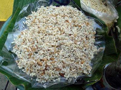 kroto semut rangrang pada kehidupannya di alam liar sebenernya kroto