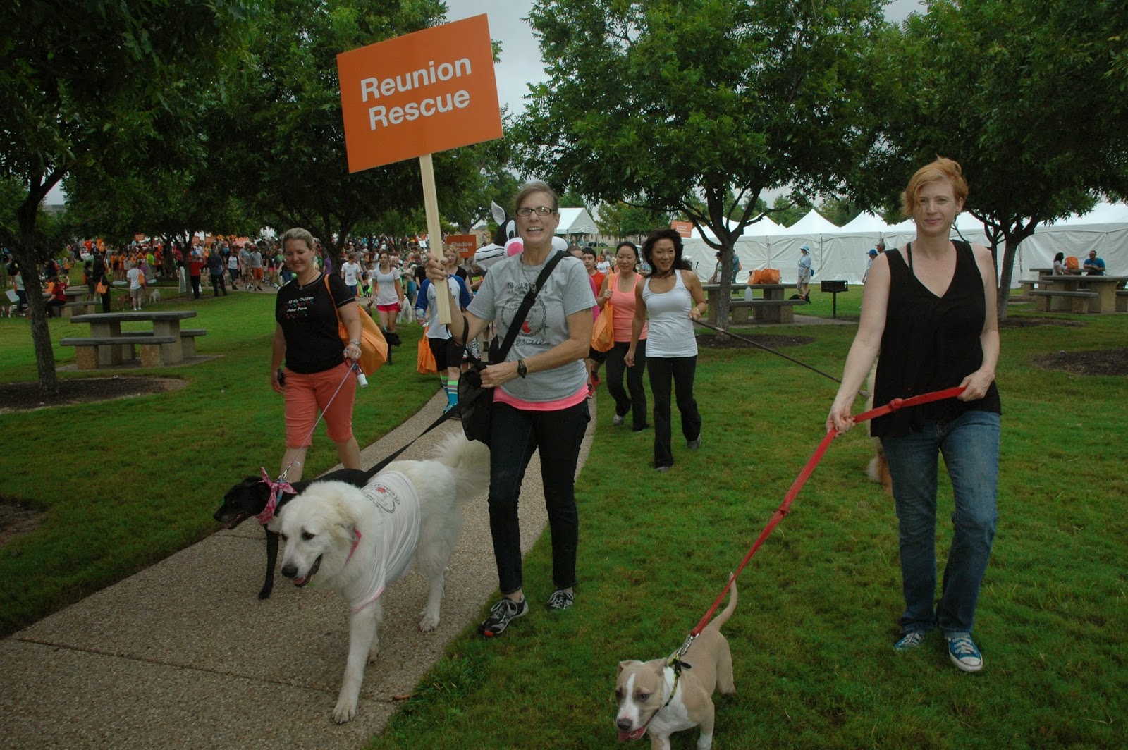 Pit Bulls and Other Animals.... Austin dogs strut Texas style at Best