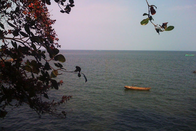 kien hai kien giang kien hai kien giang