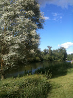 Sunny Day at Abingdon
