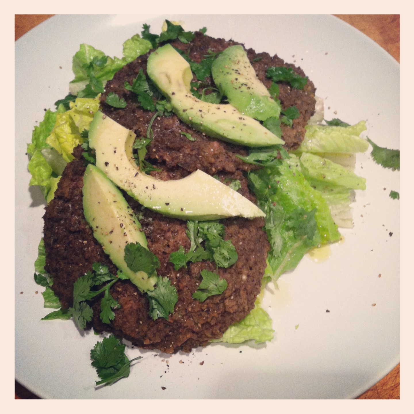 Black BeanBrown Rice Patties I'll Have Seconds!