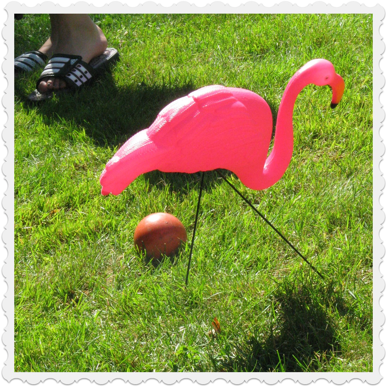 Musings from Kim K. Flamingo croquet...