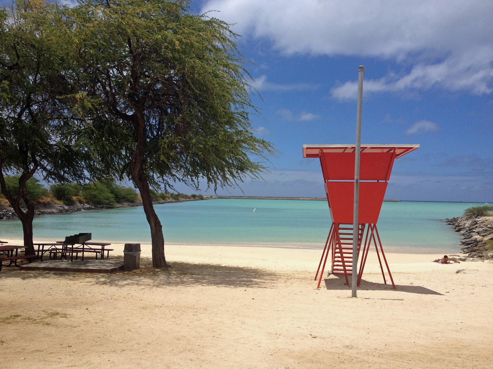 The Walking Hawaiian