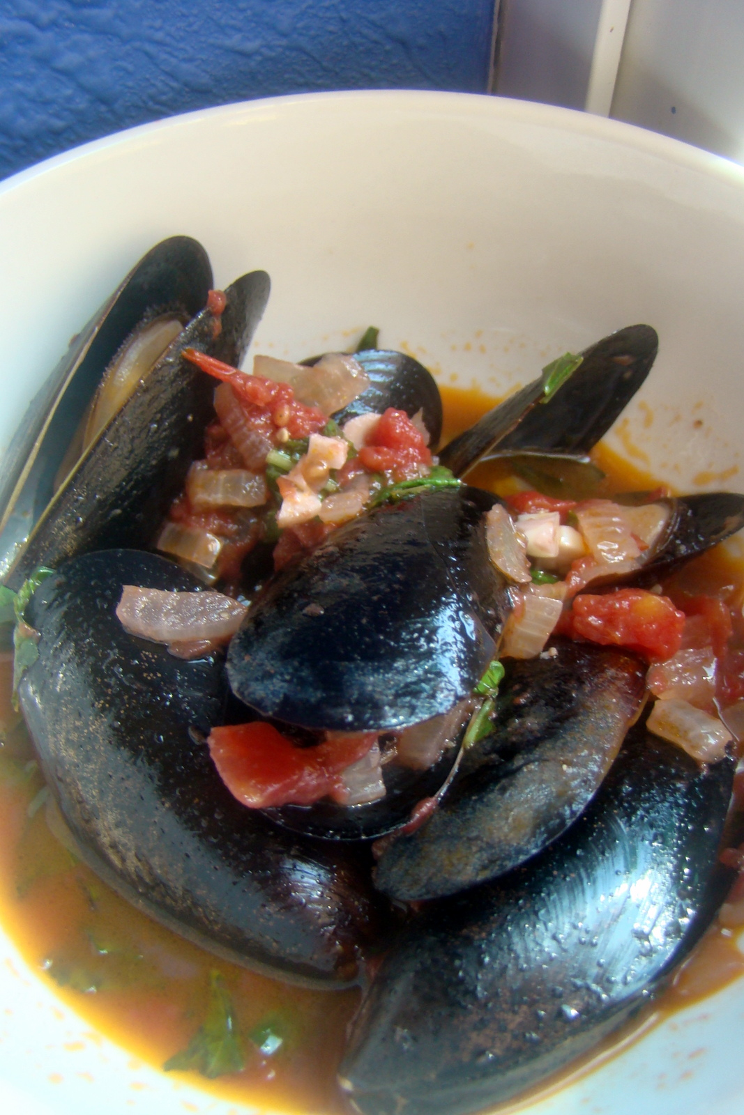 Nourished and Nurtured Mussels in Red Wine Sauce (GAPS primal