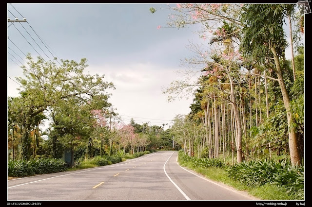 嘉義縣竹崎鄉親水公園萬竹博覽館-全新景點花仙子-天空步道啟用-千禧橋-弘景橋