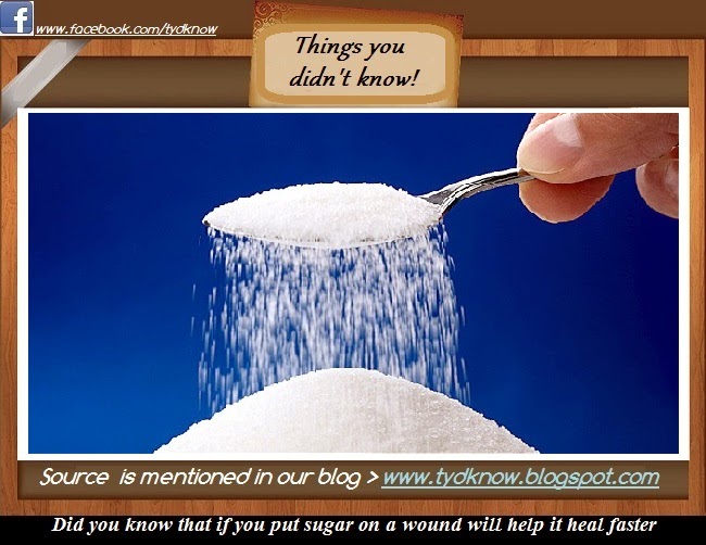 Did you know that if you put sugar on a wound will help it heal faster
