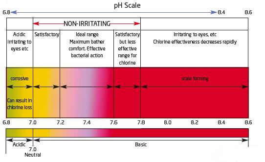 the swimming pool professor pool ph scale chart