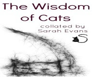 The Wisdom of Cats EBook The Wisdom of Cats EBook