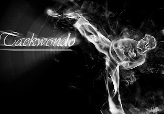 taekwondo taekwondo