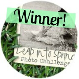 Leap Into Spring Photo Challenge Winner Leap Into Spring Photo Challenge Winner
