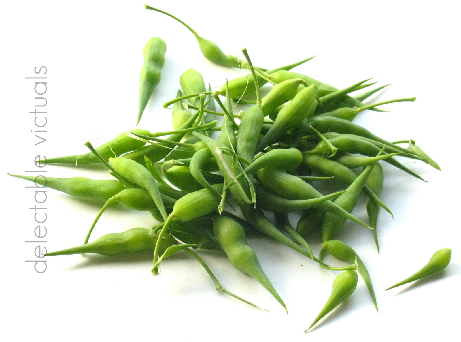 Delectable Victuals Edible Radish Seed Pods Salad