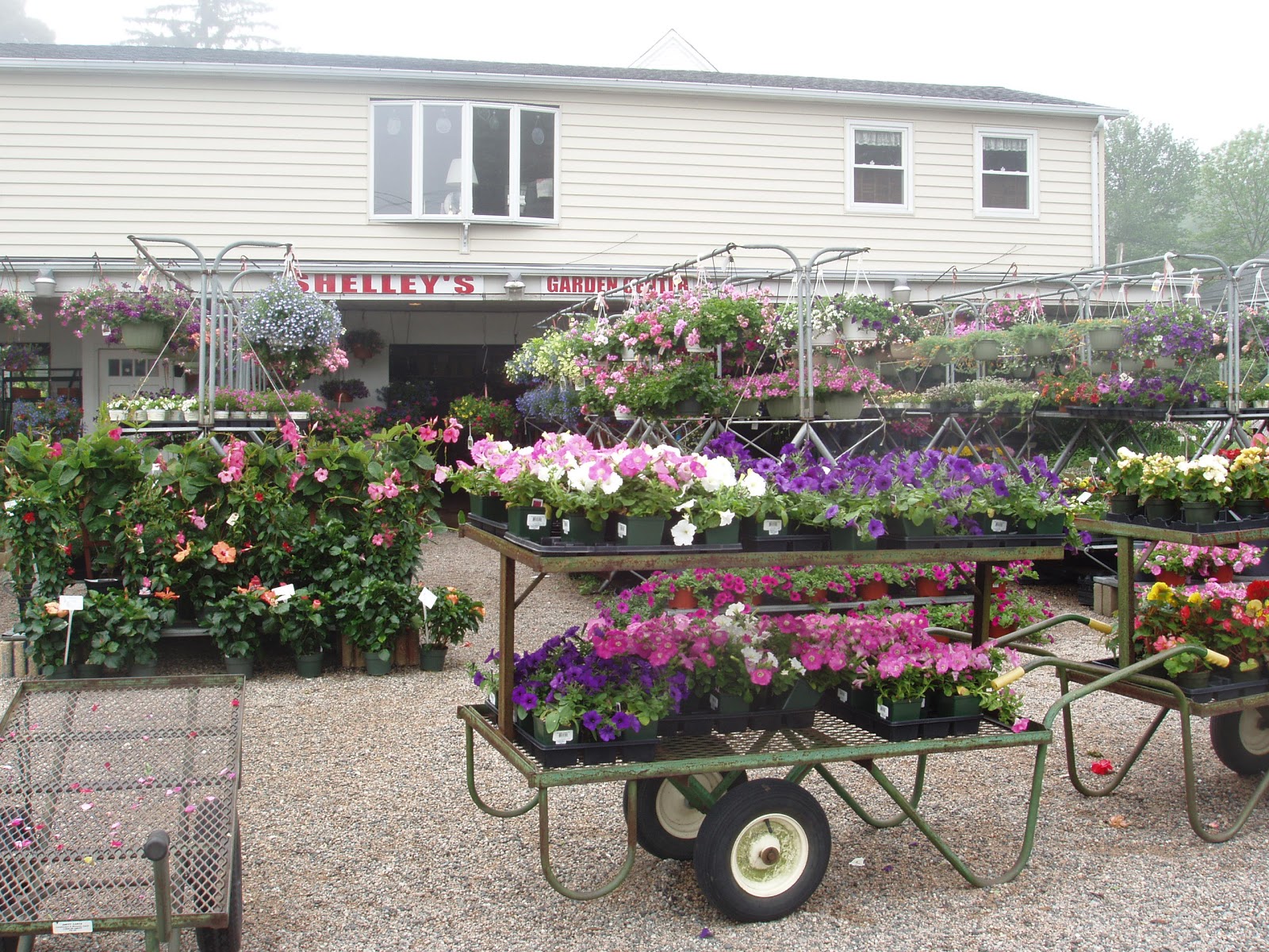 Home Place Shelley's Garden Center in Branford, CT