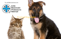Omaggi Kit estate per cane e gatto da Royal Canin Immagine Omaggi Kit estate per cane e gatto da Royal Canin