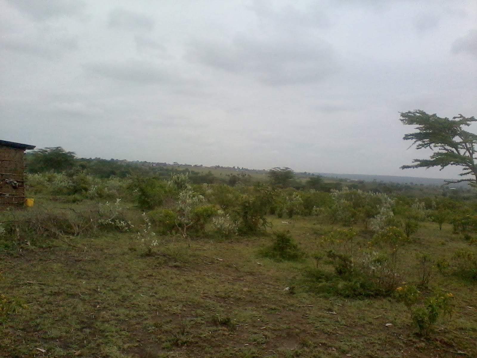 INVEST IN NAROK COUNTY, KENYA TWO PLOTS FOR SALE IN NAROK TOWN, READY