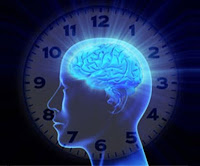 El reloj circadiano se localiza en un grupo de neuronas del hipotálamo. La destrucción de esta estructura lleva a la ausencia completa de ritmos circadianos. Los ritmos circadianos regulan una notable variedad de funciones metabólicas y fisiológicas.