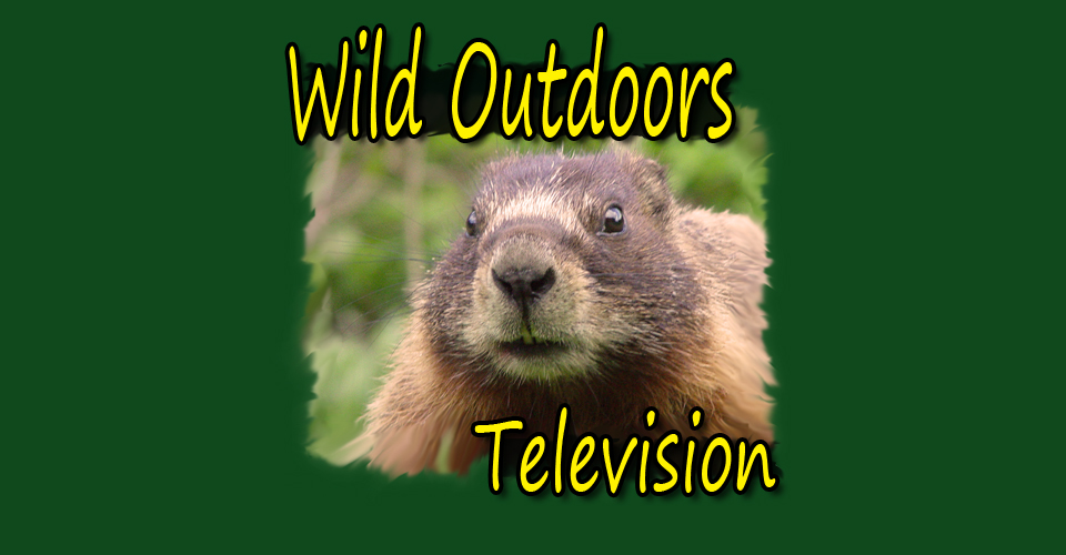 Wild Outdoors Television