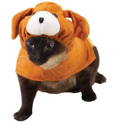 dog_costume_for_cats.jpg