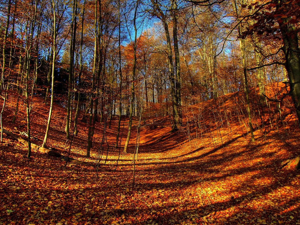 http://4.bp.blogspot.com/-AunOyumuNqo/UJJgaGY43fI/AAAAAAAABOI/kr6xub1j5g0/s1600/Autumn-Wallpaper-3.jpeg
