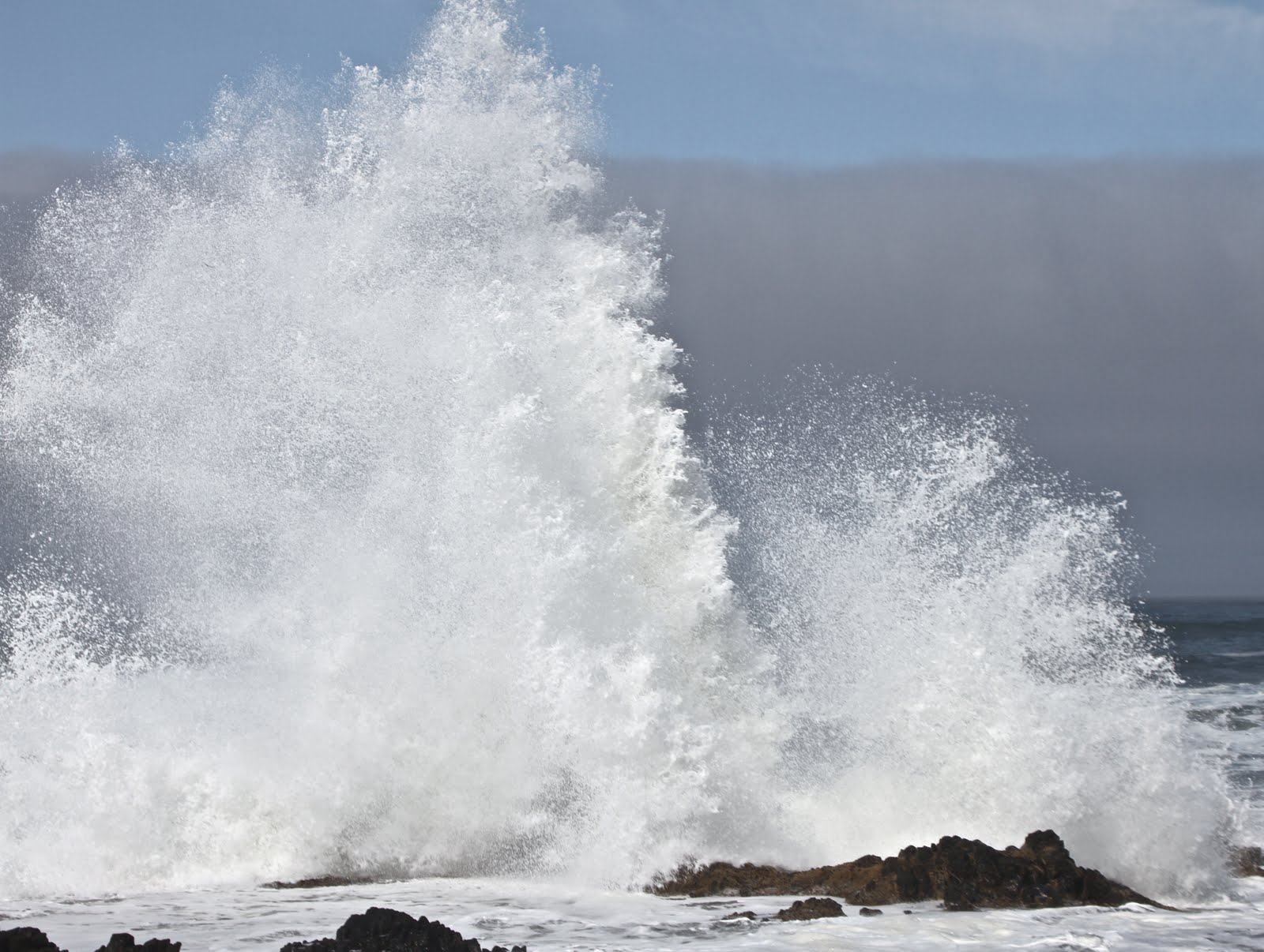 wave invoicing on the appstore