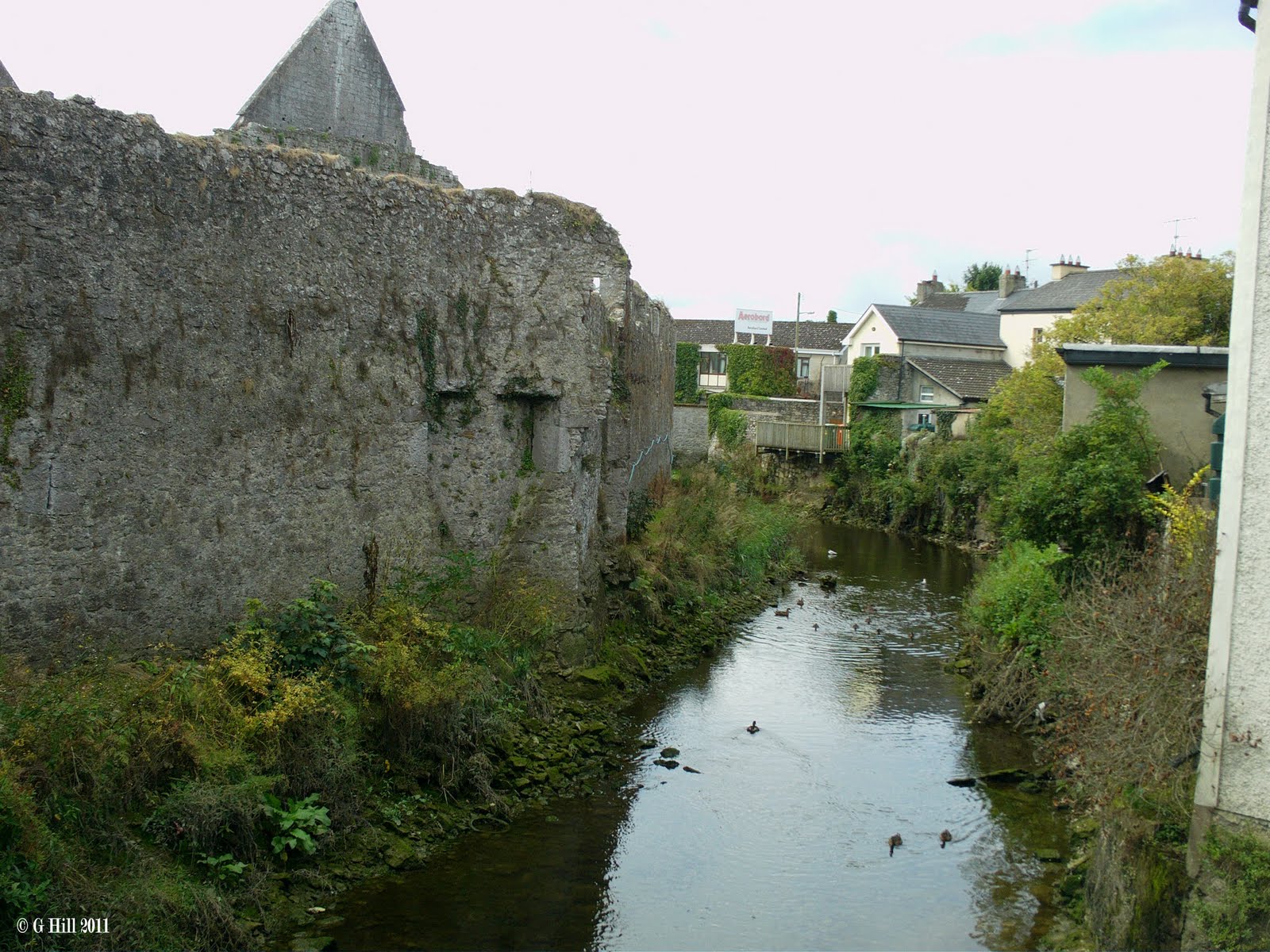 Ireland In Ruins Askeaton Castle Co Limerick
